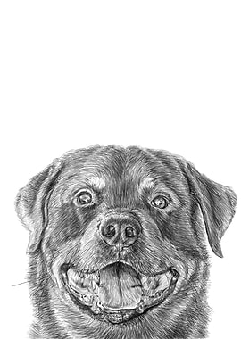 happy dog pencil drawing