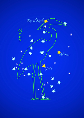 Constellation GRUS
