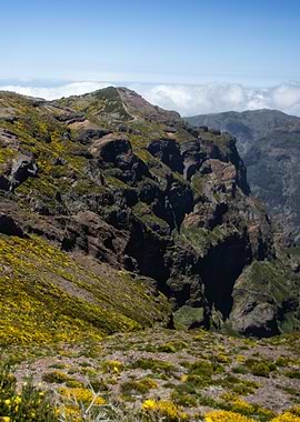 Madeira Landscape 10