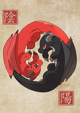 Yin Yang Dragons