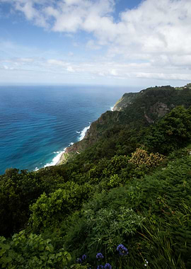 Madeira Landscape 10