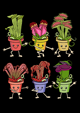Carnivourus Plants Gifts