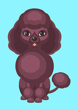 Cute chocolate poodle