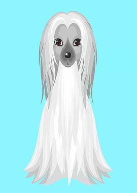 Cute Afghanischer Windhund