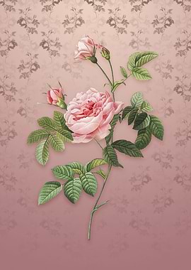Vintage Pink Rose Turbine