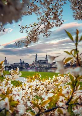 Cityscape of Dresden