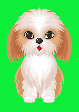 Cute Little Shih Tzu Dog