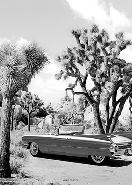 Vintage Road Trip BW
