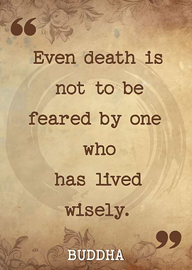 buddha quote poster zen