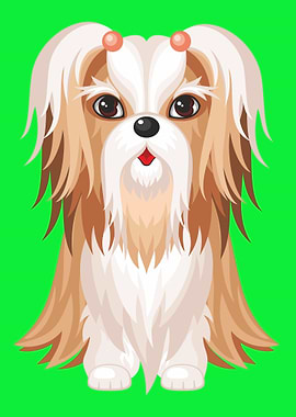 Cute Shih Tzu Dog