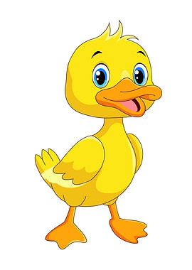 Duck Cute