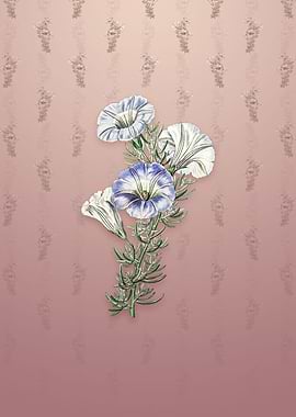 Sky Blue Alona Flower