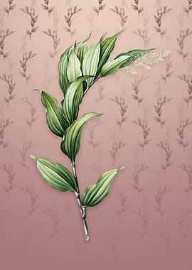 Vintage Treacleberry