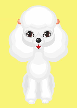 Cute Miniature Poodle