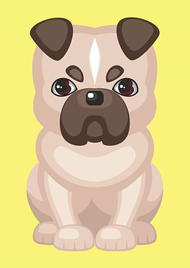 Cute white English Bulldog