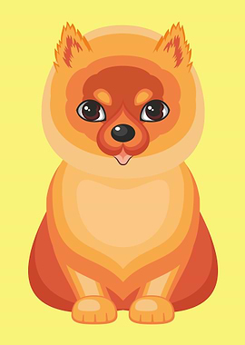 Cute Pomeranian Spitz Dog