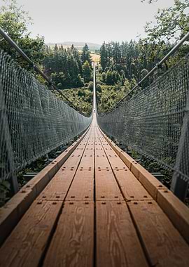 Geierlay Suspension Bridge