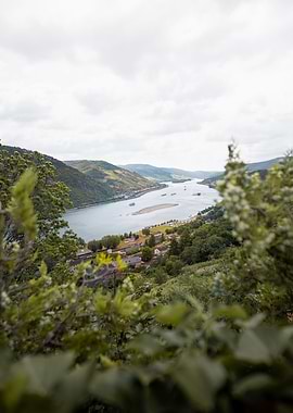 Rhine River in Germany