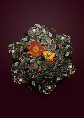 Sweetbriar Rose Wreath