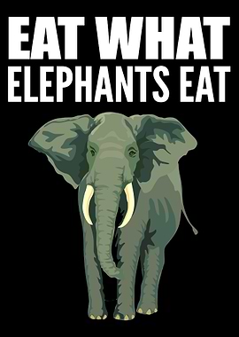 Elephants Eat Animal Advoc