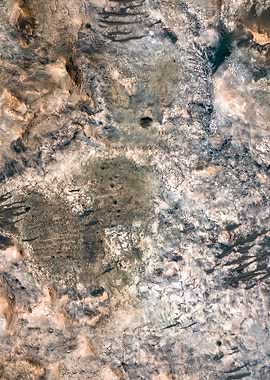 Shallow of Life 06o13