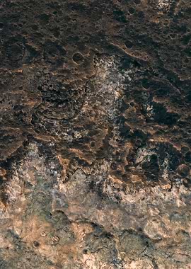 Shallow of Life 13o13