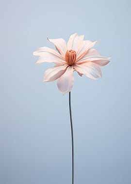 Single Flower