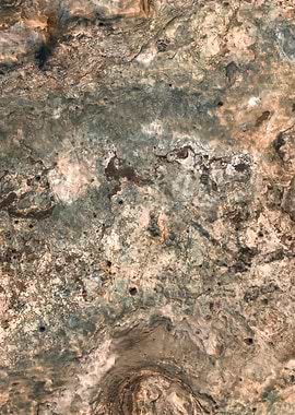 Shallow of Life 10o13