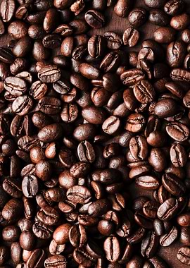 Coffee Bean