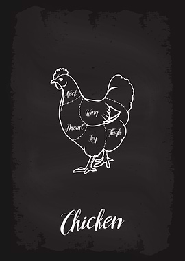 Butcher Cuts of Chicken