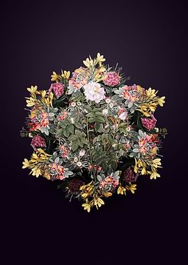 Pink Rosebush Wreath