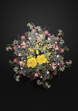 Yellow Sweetbriar Roses