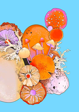 Mushrooms and stones