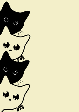 Black and White Cat 2