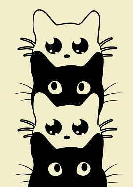 Black and White Cat 3