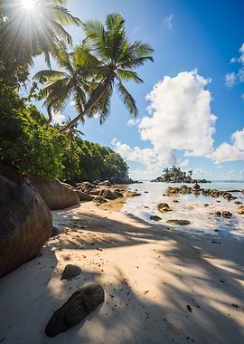 Tropical beach with palms
