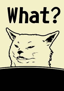 Woman Yelling at a Cat 4