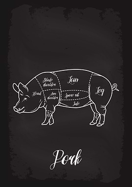 Butcher Cuts of Pork