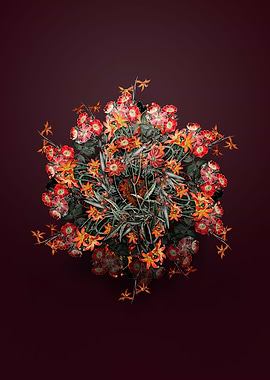 Cosmos Flower Wreath