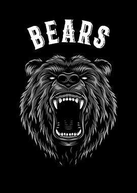 Bears