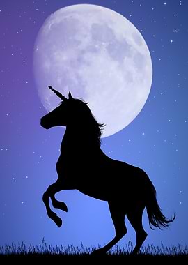 Unicorn Horse Fantasy