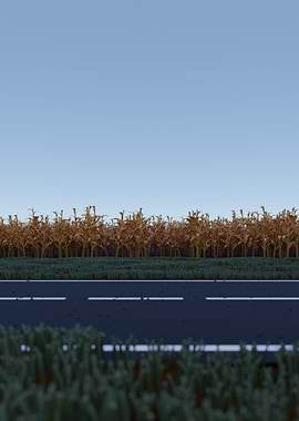 A Field of Corn