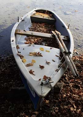 Boat Sailing Boats Ocean