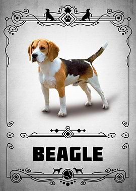Beagle
