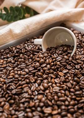 Coffee Beans