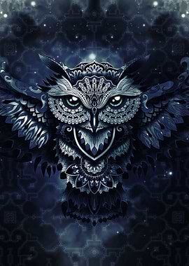 Shipibo Mandala Owl