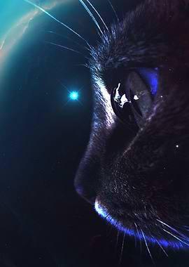 Cat Galaxy