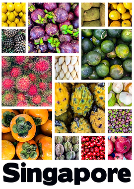 Singapore Tropical Fruit
