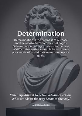 Determination