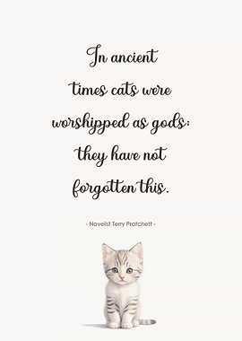 Cat Quote
